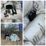 Asegura AEI casi 500 kilogramos de marihuana y destruye campamento en El Tule