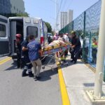Ataque de abejas en Santiago, Nuevo León, deja una persona fallecida y dos lesionados