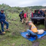 Muere durante su captura el tigre de bengala que escapó de una reserva en el Estado de México