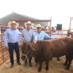 Fortalecen con mejoramiento genético al hato ganadero de Coahuila