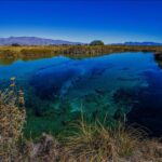 Cuatro Ciénegas se convierte en escenario internacional para proteger la fauna