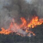 Coahuila libra más de 50 conatos de incendio forestal; brigadas mantienen la alerta