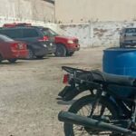 Reportan pantera en calles de Torreón; autoridades activan operativo