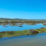 Mareas extraordinarias provocan inundaciones en hunedales costeros de Sonora